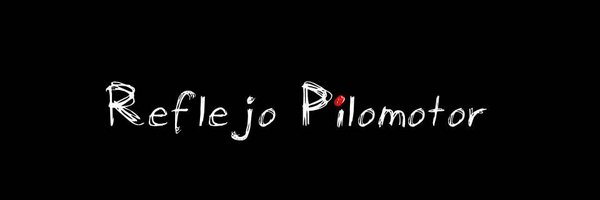 veroreflejo Profile Banner