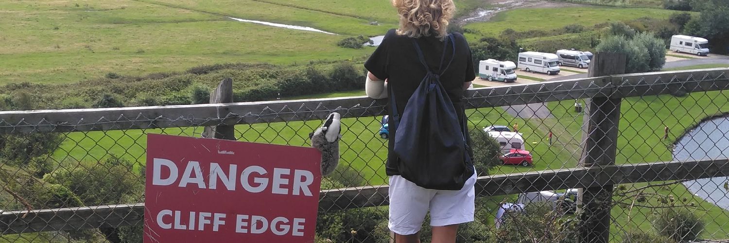 Diana II 🦡 🦊 📻 dancing on the ledge 👣 banner