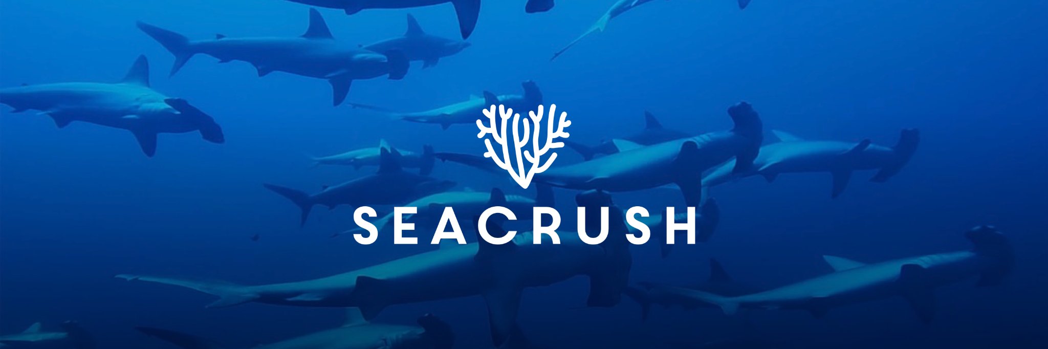 SeaCrush's profile banner image