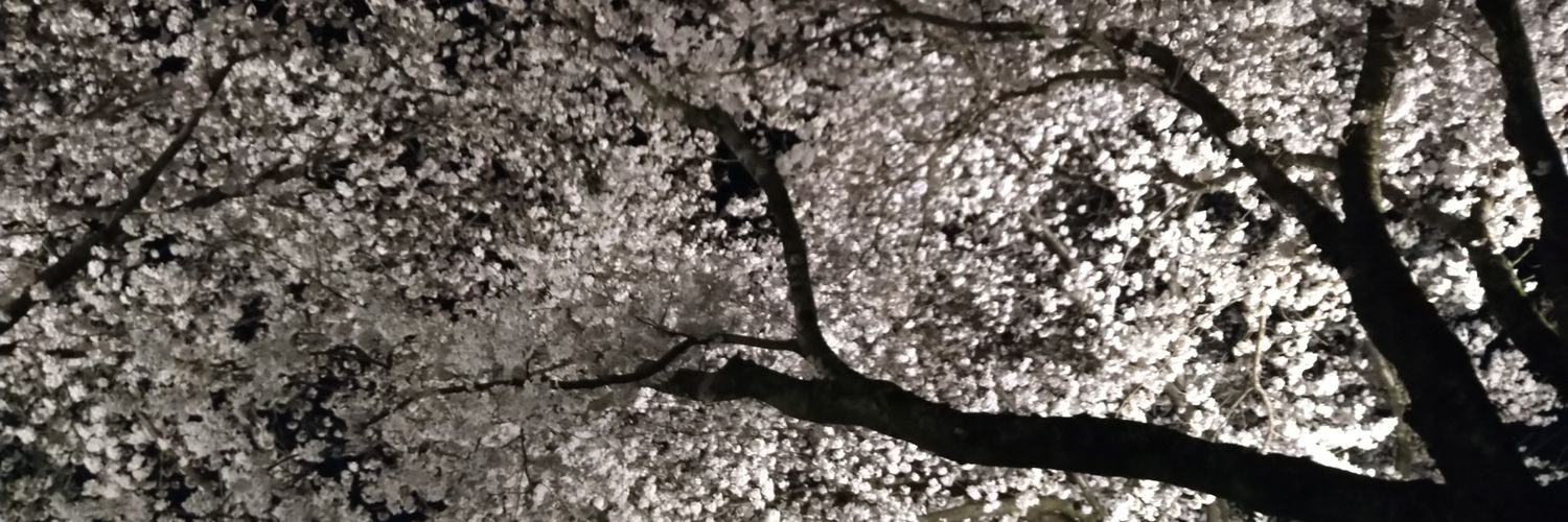 PaseJunJun's profile banner image