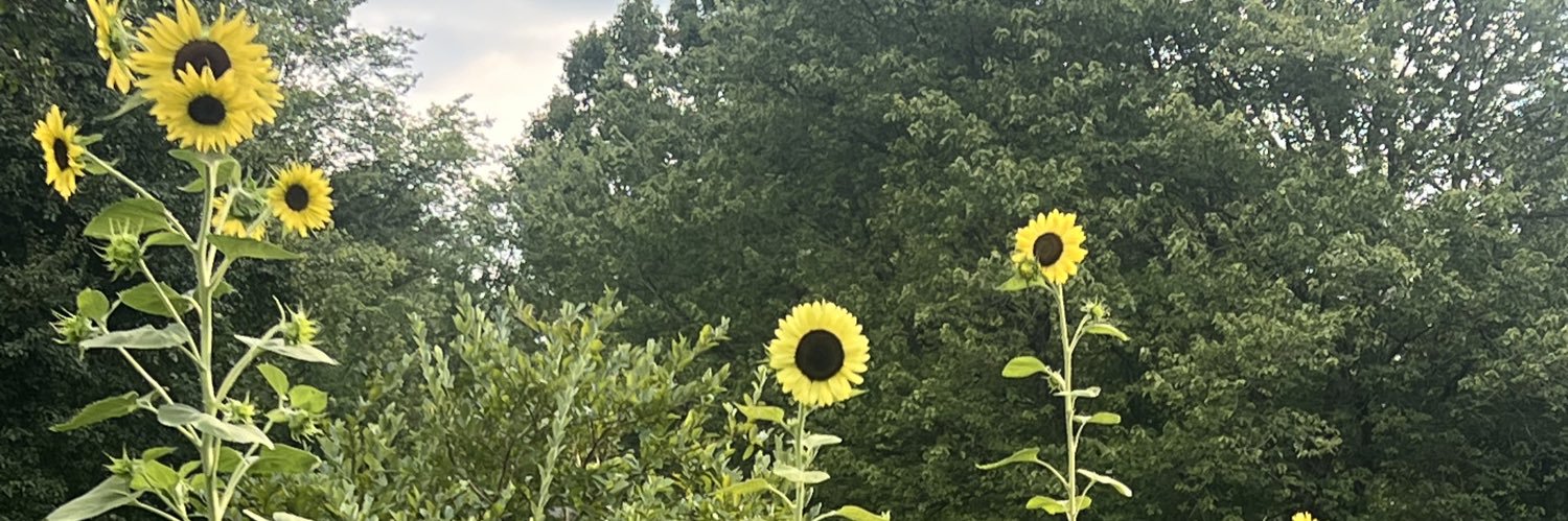 redheadedmama24's profile banner image