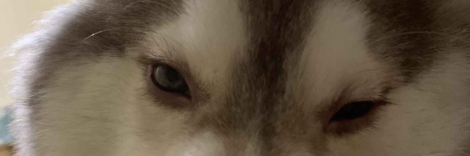 notthatgian's profile banner image