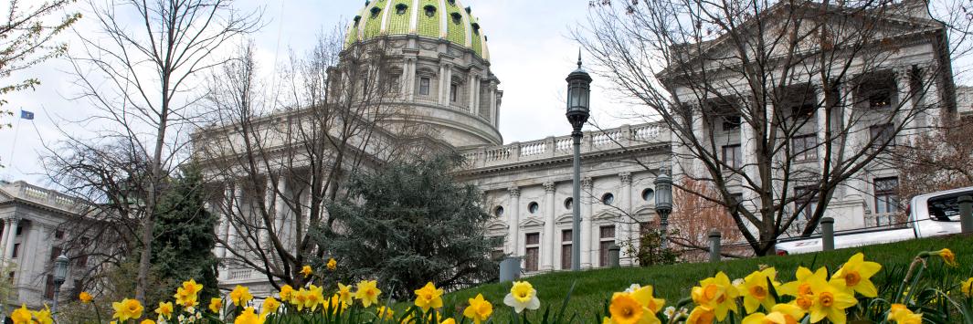 Rep. Joe Ciresi's banner