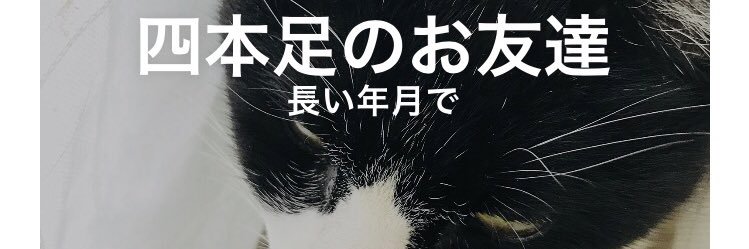 yusm12's profile banner image