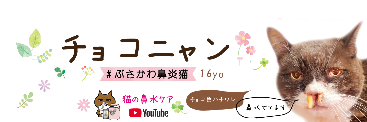 まつぼっくり🍥 banner
