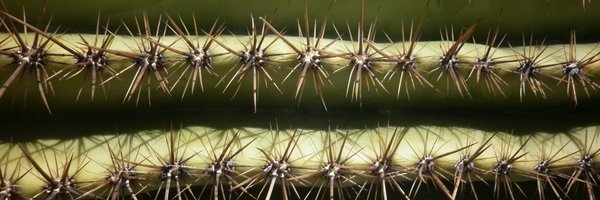 HdzHdz_Lab Profile Banner