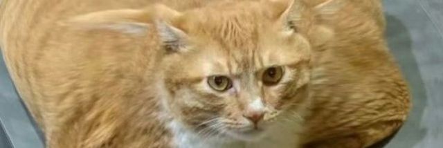 sugusz_'s profile banner image