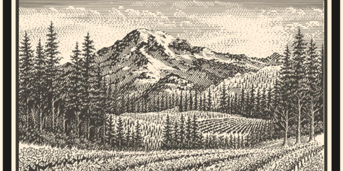 SchitzoApparel's profile banner image