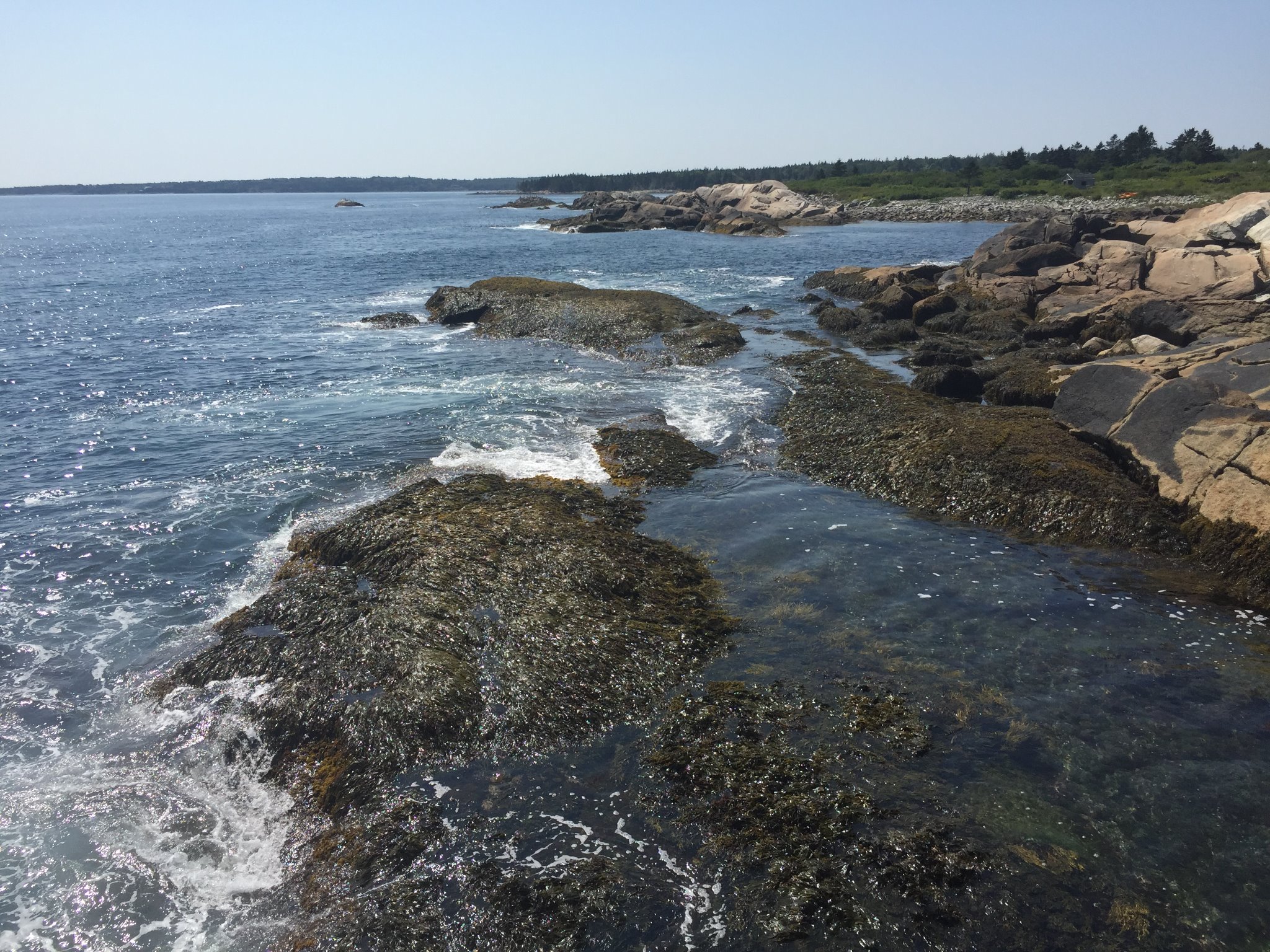 Protect Liverpool Bay NS banner