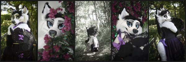 Foxyvix1 Profile Banner