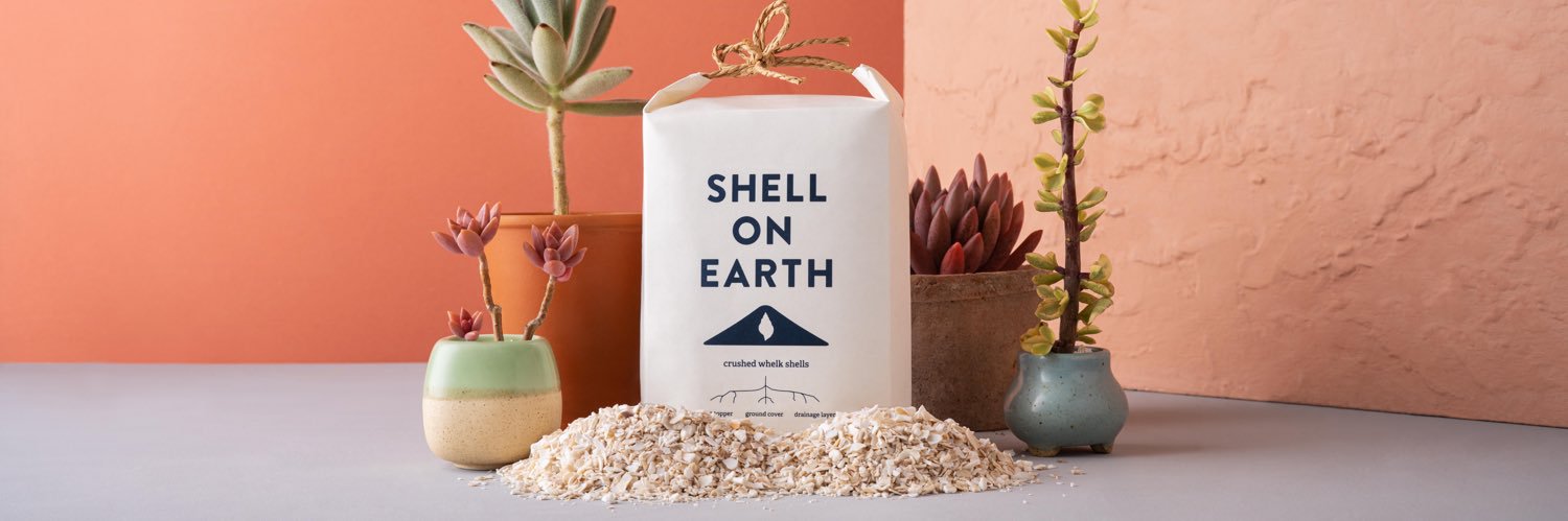 Shell on Earth 🐚🌵 banner