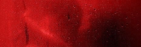 sckaner07's profile banner image