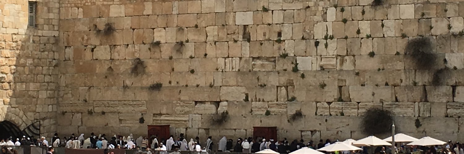 Danny Rosenstein 🇺🇸🇮🇱🤟🏻 banner