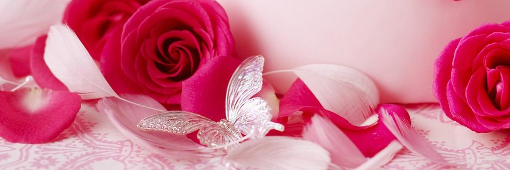 za8282's profile banner image