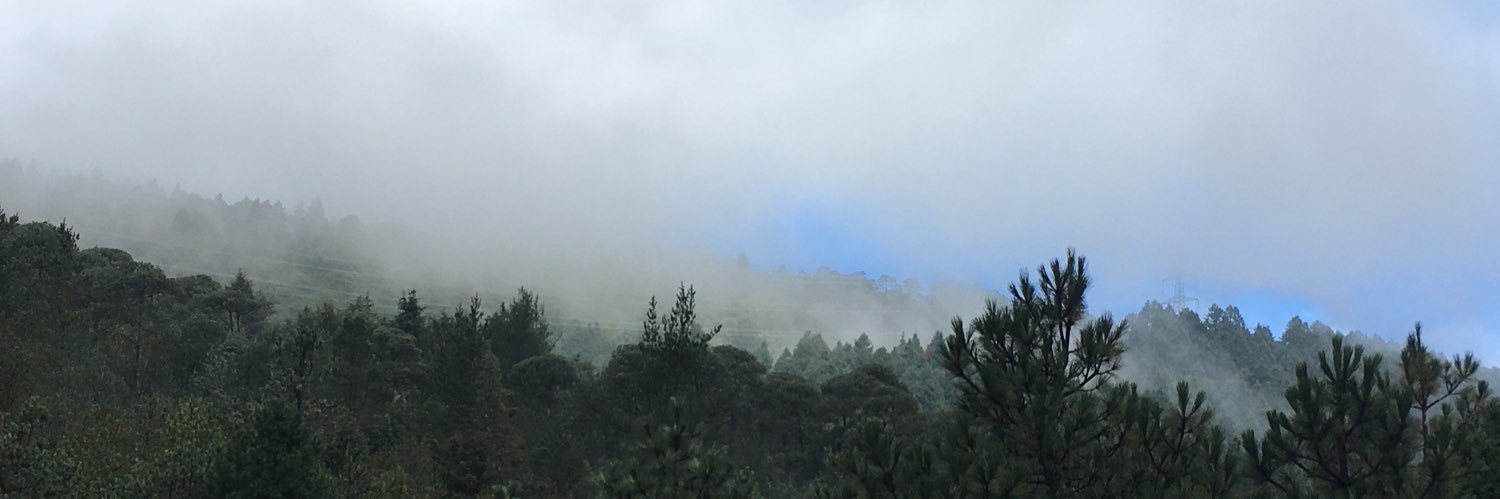 Julián🇲🇽🐌 banner