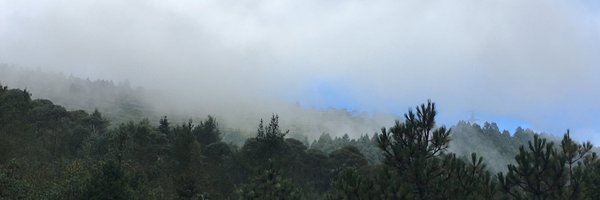 rexdelay Profile Banner