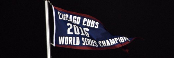DailyRandomCub Profile Banner