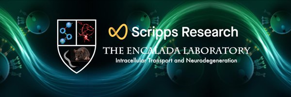 EncaladaLab Profile Banner