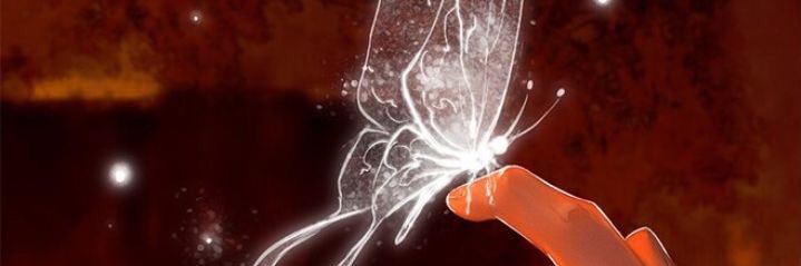 🍁 banner