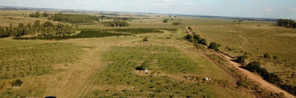 Matthias Baumberger banner