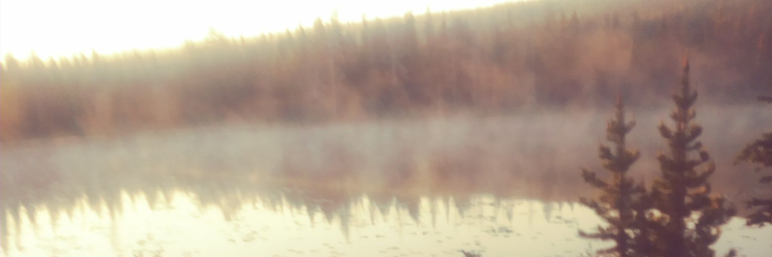 SlvrSpartan banner