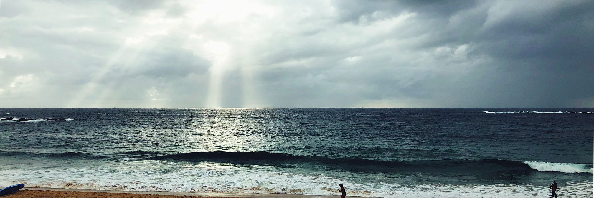 Daniel Fallman banner