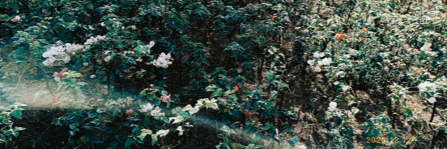 . banner