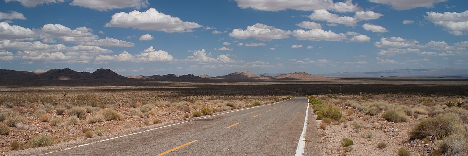 Long Strange Trip banner
