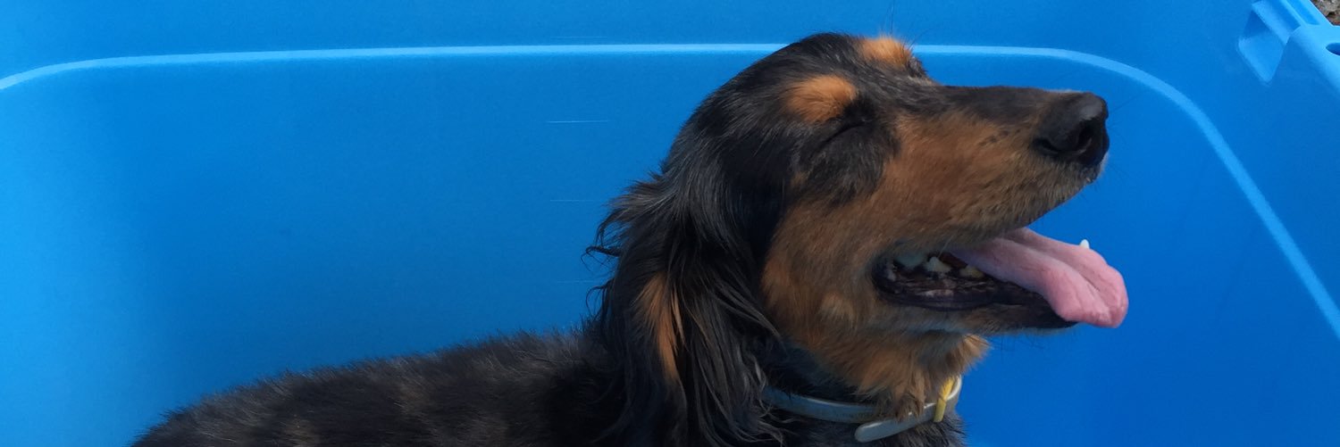 0619_kuma's profile banner image