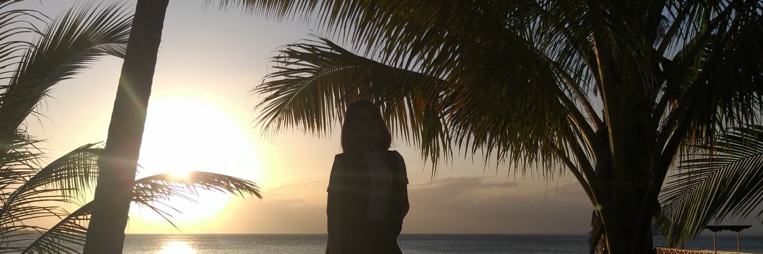 indahmin's profile banner image