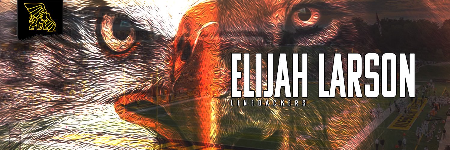 Elijah Larson banner
