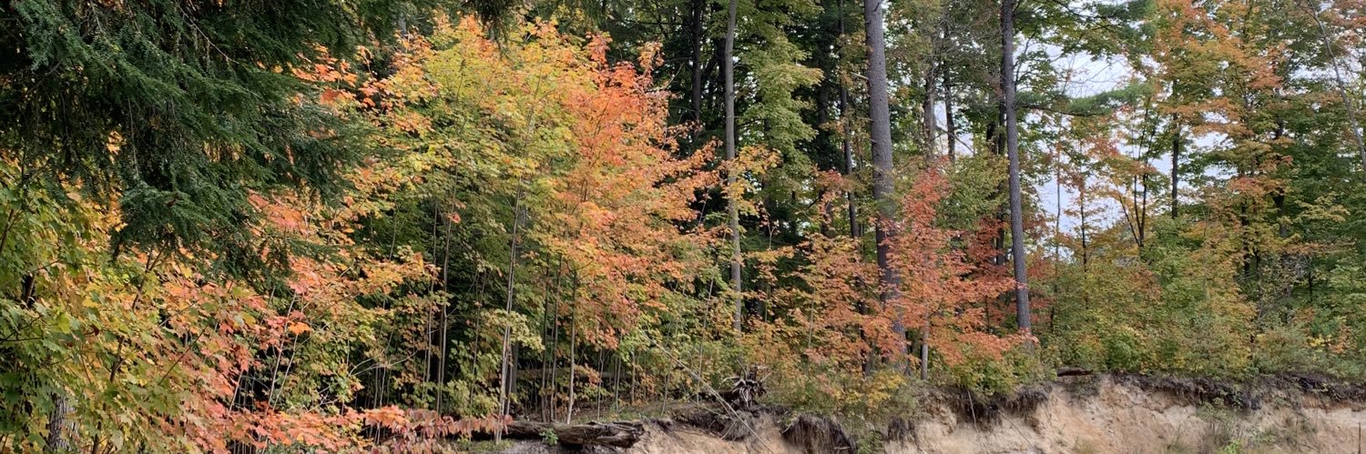 Mrs. Nelles & Mrs. Buckley’s Kindies banner