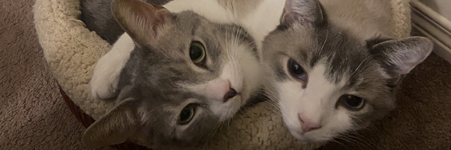 Kayleen Sawatzky banner