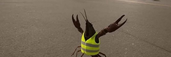 TheKevinFielder Profile Banner