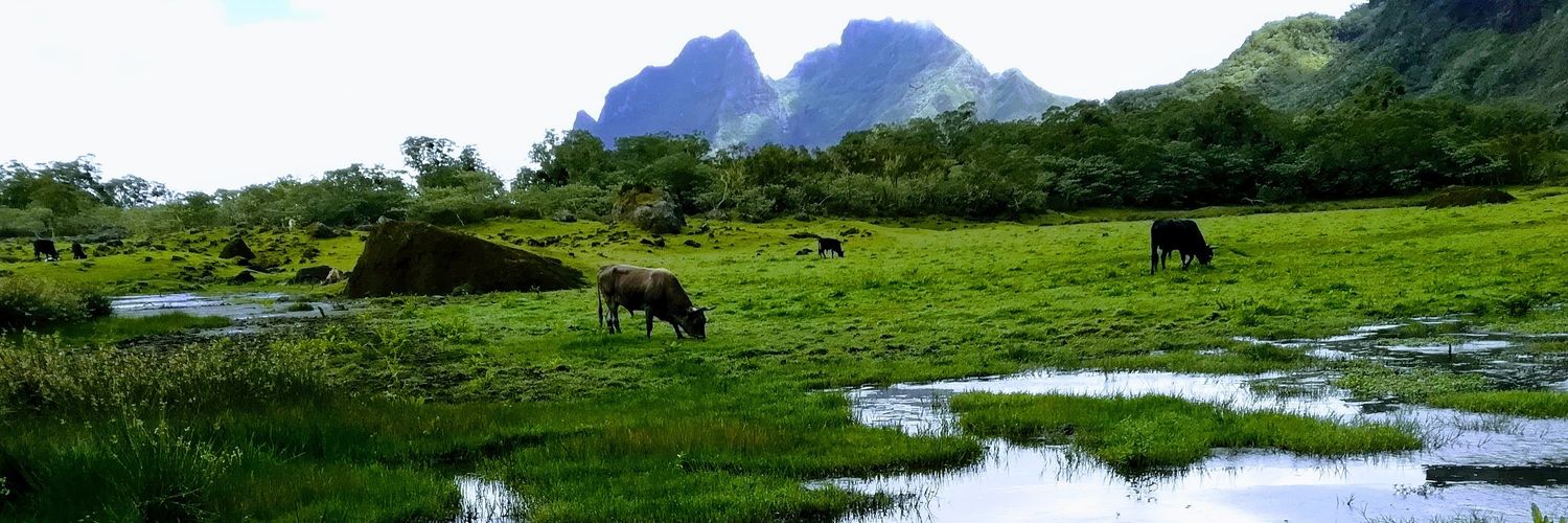 afrikasources's profile banner image