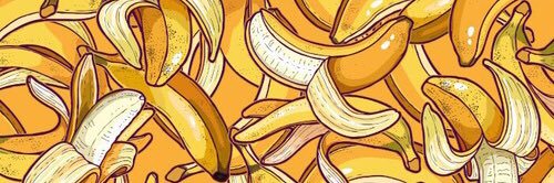 Dinaiananda's profile banner image