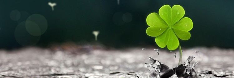 NatthaRainbow's profile banner image