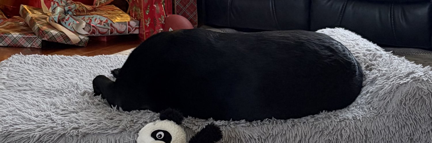 LukeBoolin's profile banner image