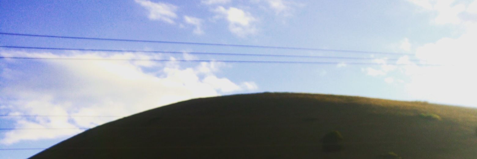 La Patrona's banner