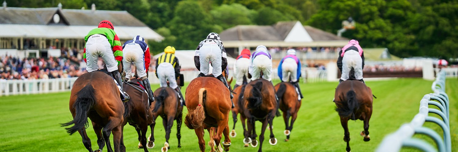 perthracecourse banner