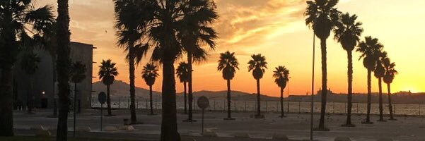 Axelleyoo's profile banner image