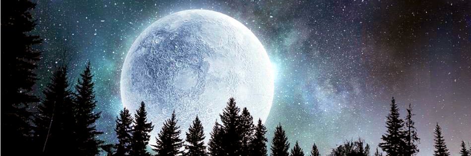 iampoppab's profile banner image