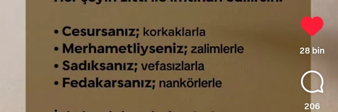 1907zafer's profile banner image