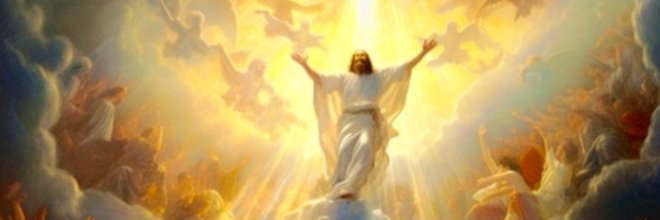 🇫🇷 wstr٤٠٨ 🇫🇷⚜️🐿️✝️ banner