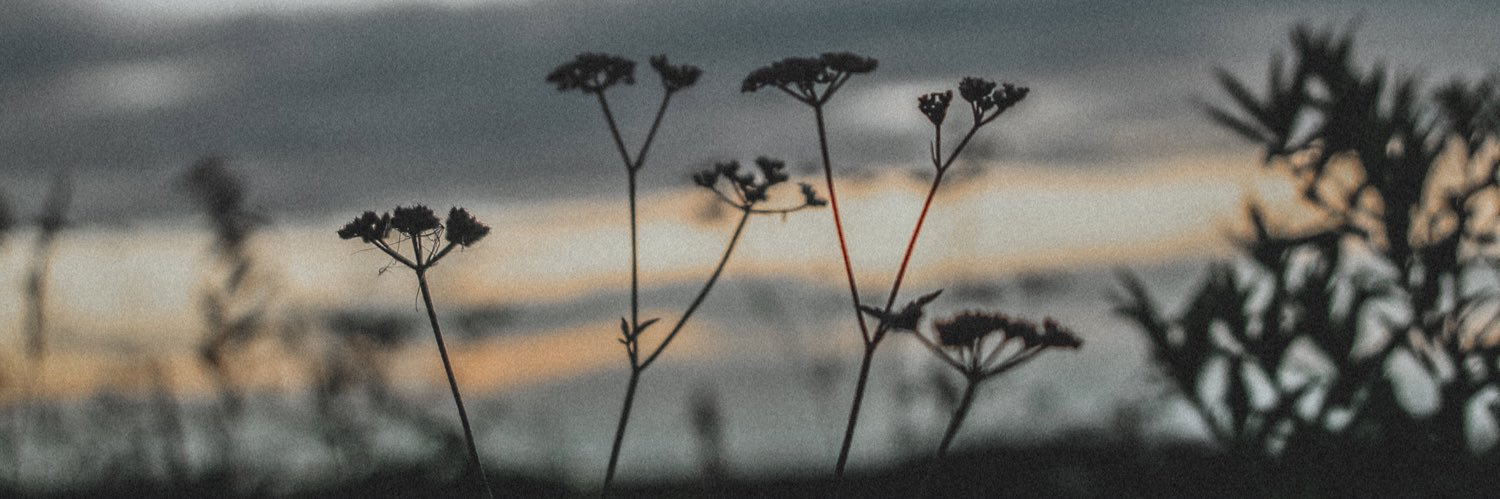 jacihowell__'s profile banner image