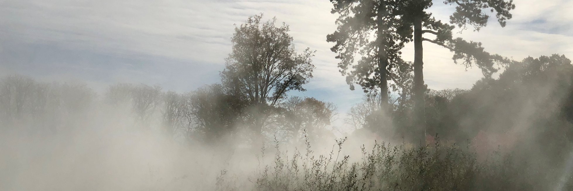 Thierry HELLIN banner