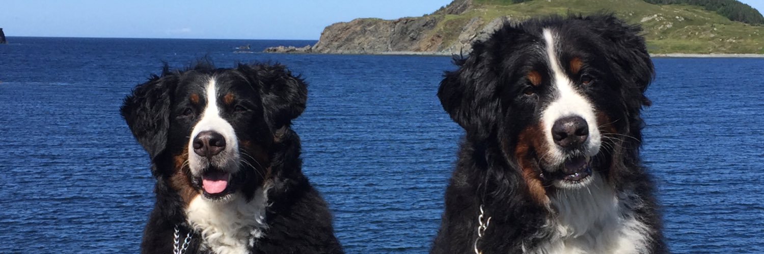 Heather Strong banner