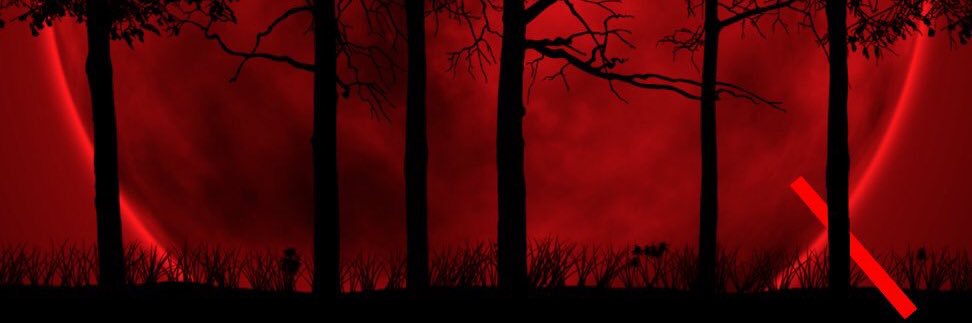 dander1951's profile banner image