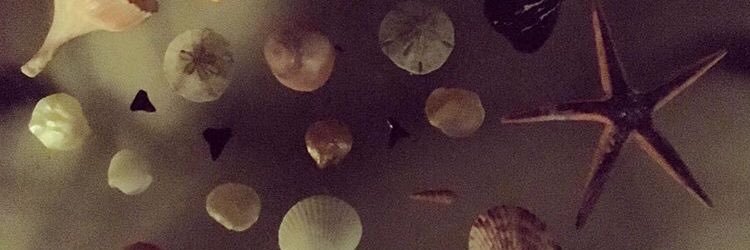 SYS329's profile banner image