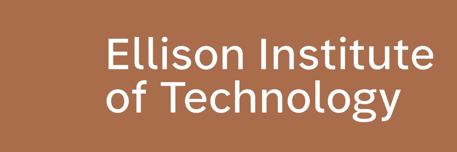 Shannon Mumenthaler banner